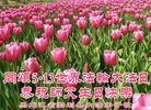 ֹ,󷨵ӹ編ִʦ𻪵(22)
