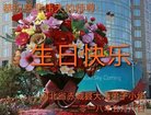 ֹ,żҿڴ󷨵ӹ編ִʦ𻪵(19)