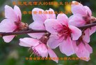 ֹ,󷨵ӹ編ִʦ𻪵(22)