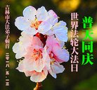 ֹ,д󷨵ӹ編ִʦ𻪵(21)