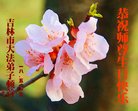 ֹ,д󷨵ӹ編ִʦ𻪵(21)