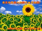 ֹ,ϴ󷨵ӹ編ִʦ𻪵(24)