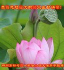 ֹ,ϴ󷨵ӹ編ִʦ𻪵(24)