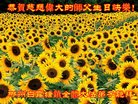 ֹ,ϴ󷨵ӹ編ִʦ𻪵(24)