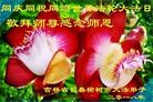 ֹ,󷨵ӹ編ִʦ𻪵(23)