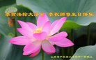 ֹ,д󷨵ӹ編ִʦ𻪵(29)