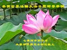 ֹ,󷨵ӹ編ִʦ𻪵(22)