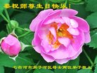 ֹ,󷨵ӹ編ִʦ𻪵(22)