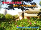 ֹ,󷨵ӹ編ִʦ𻪵(23)