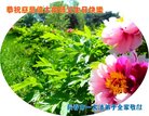 ֹ,󷨵ӹ編ִʦ𻪵(23)