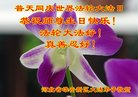 ֹ,ӱ󷨵ӹ編ִʦ𻪵(29)