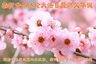 ֹ,ϴ󷨵ӹ編ִʦ𻪵(24)