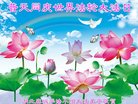 ֹ,󷨵ӹ編ִʦ𻪵(20)