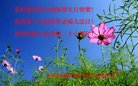 ֹ,д󷨵ӹ編ִʦ𻪵(21)