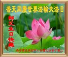 法轮功,西安大法弟子恭贺世界法轮大法日暨师尊华诞(25条)