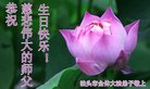 法轮功,河北大法弟子恭贺世界法轮大法日暨师尊华诞(20条)