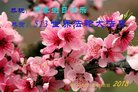 ֹ,󷨵ӹ編ִʦ𻪵(19)