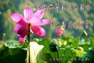 ֹ,󷨵ӹ編ִʦ𻪵(22)