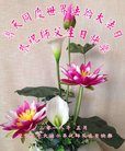 ֹ,󷨵ӹ編ִʦ𻪵(22)