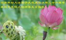 法轮功,河南大法弟子恭贺世界法轮大法日暨师尊华诞(24条)