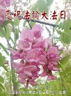 ֹ,󷨵ӹ編ִʦ𻪵(22)
