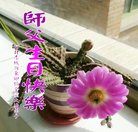 ֹ,żҿڴ󷨵ӹ編ִʦ𻪵(19)