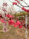 法轮功,张家口大法弟子恭贺世界法轮大法日暨师尊华诞(19条)