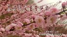 ֹ,żҿڴ󷨵ӹ編ִʦ𻪵(19)