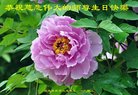 ֹ,ľ˹󷨵ӹ編ִʦ𻪵(18)