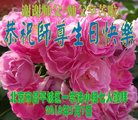 ֹ,󷨵ӹ編ִʦ𻪵(21)