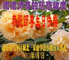 ֹ,󷨵ӹ編ִʦ𻪵(21)