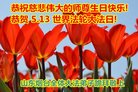 ֹ,ɽ󷨵ӹ編ִʦ𻪵(23)