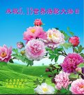 法轮功,河南大法弟子恭贺世界法轮大法日暨师尊华诞(24条)