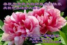 ֹ,մ󷨵ӹ編ִʦ𻪵(23)