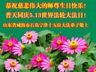 ֹ,ɽ󷨵ӹ編ִʦ𻪵(23)
