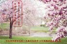 ֹ,ӱ󷨵ӹ編ִʦ𻪵(29)