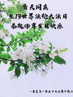 ֹ,ػʵ󷨵ӹ編ִʦ𻪵(22)