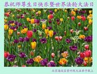 ֹ,󷨵ӹ編ִʦ𻪵(21)