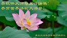 ֹ,ൺ󷨵ӹ編ִʦ𻪵(21)