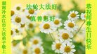 ֹ,ϴ󷨵ӹ編ִʦ𻪵(24)