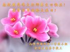 法轮功,北京大法弟子恭贺世界法轮大法日暨师尊华诞(21条)
