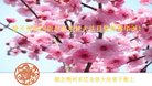 ֹ,󷨵ӹ編ִʦ𻪵(19)