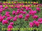 ֹ,󷨵ӹ編ִʦ𻪵(19)