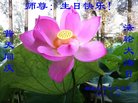ֹ,ϴ󷨵ӹ編ִʦ𻪵(24)