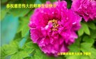 ֹ,Ϋ󷨵ӹ編ִʦ𻪵(29)