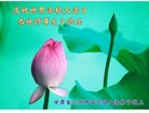 ֹ,󷨵ӹ編ִʦ𻪵(22)