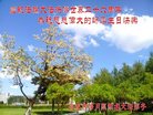 ֹ,󷨵ӹ編ִʦ𻪵(27)