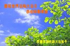 ֹ,󷨵ӹ編ִʦ𻪵(27)