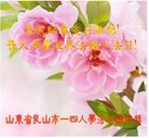 法轮功,山东大法弟子恭贺世界法轮大法日暨师尊华诞(28条)