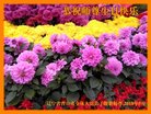 ֹ,󷨵ӹ編ִʦ𻪵(26)